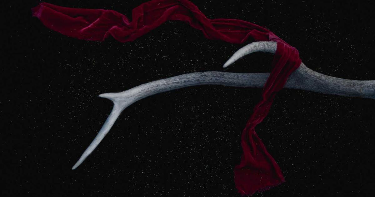 Accounting Software Comparison: Complete Guide to QuickBooks, Xero, FreshBooks & More