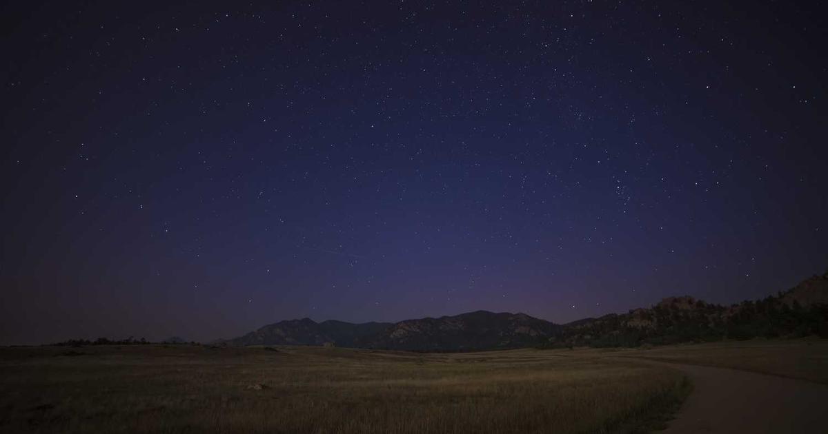 Blank Invoice Template: The Flexible Foundation for Every Business Need