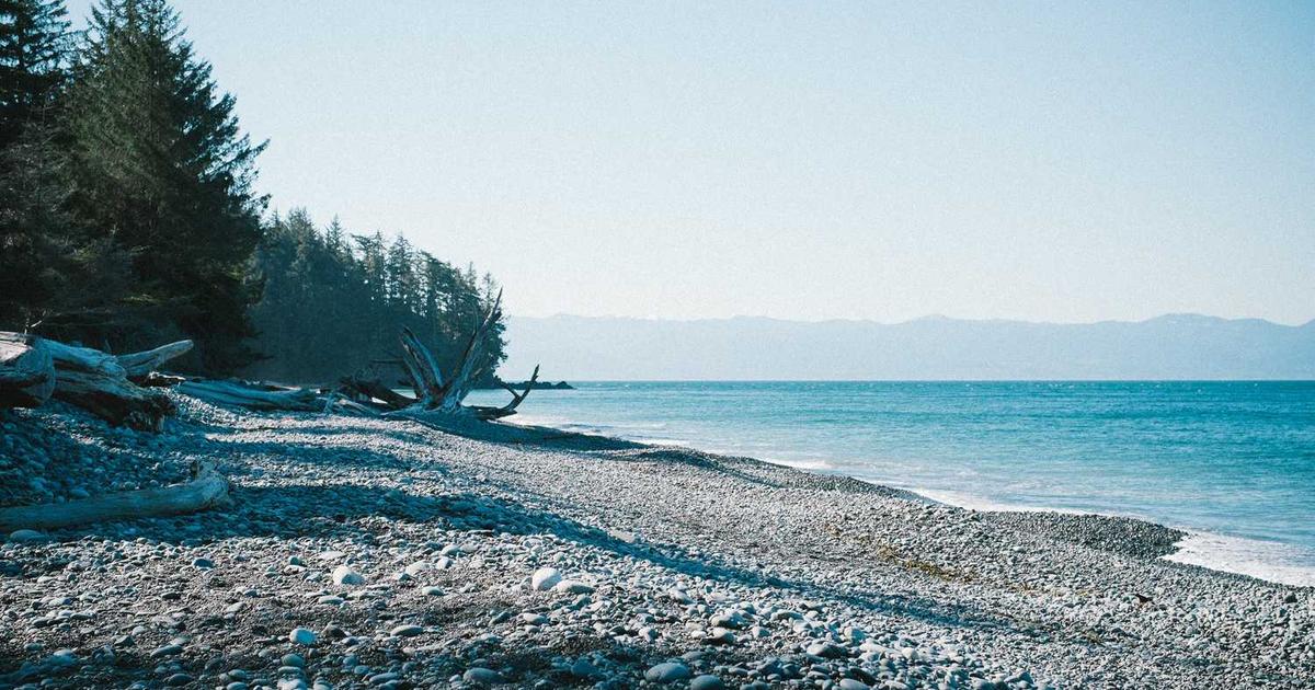 Cash Flow Management: Complete Guide to Forecasting, Optimization & Working Capital