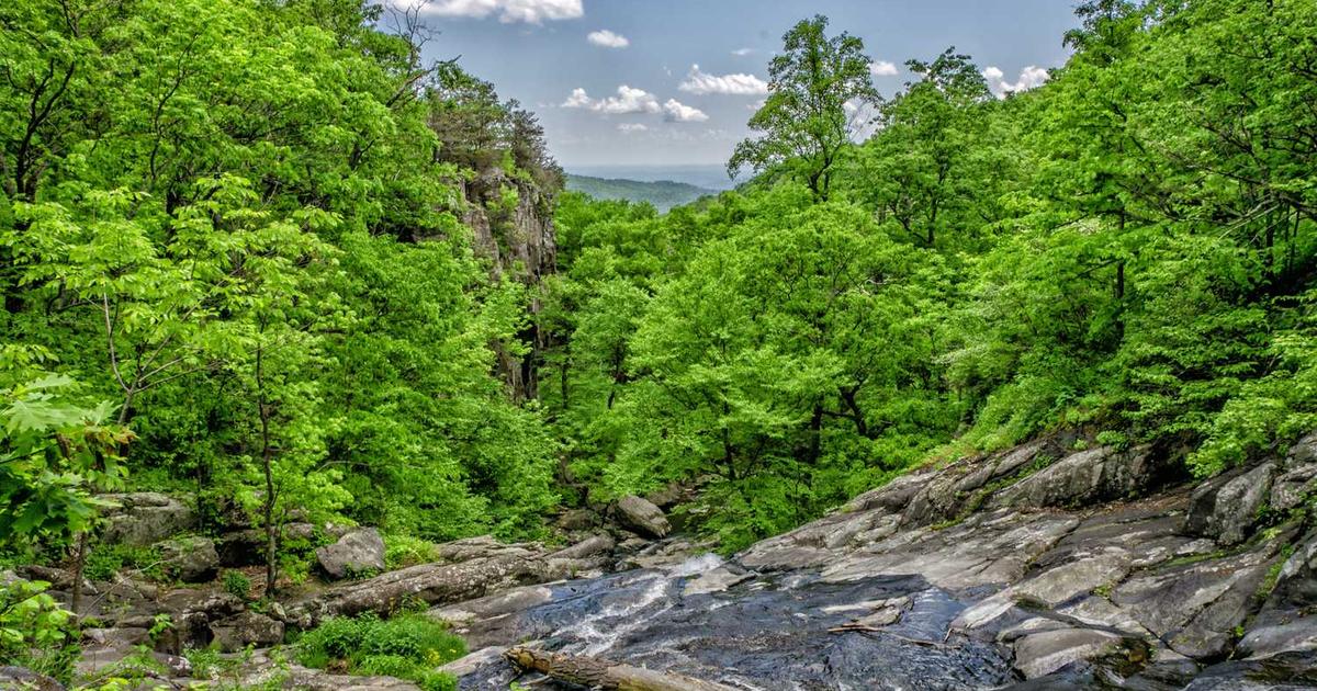 Coach Invoice Template: Complete Guide for Coaching Professionals