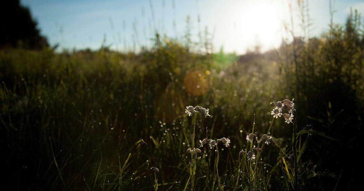 Deposit Invoice Template: Complete Guide to Requesting Upfront Payments