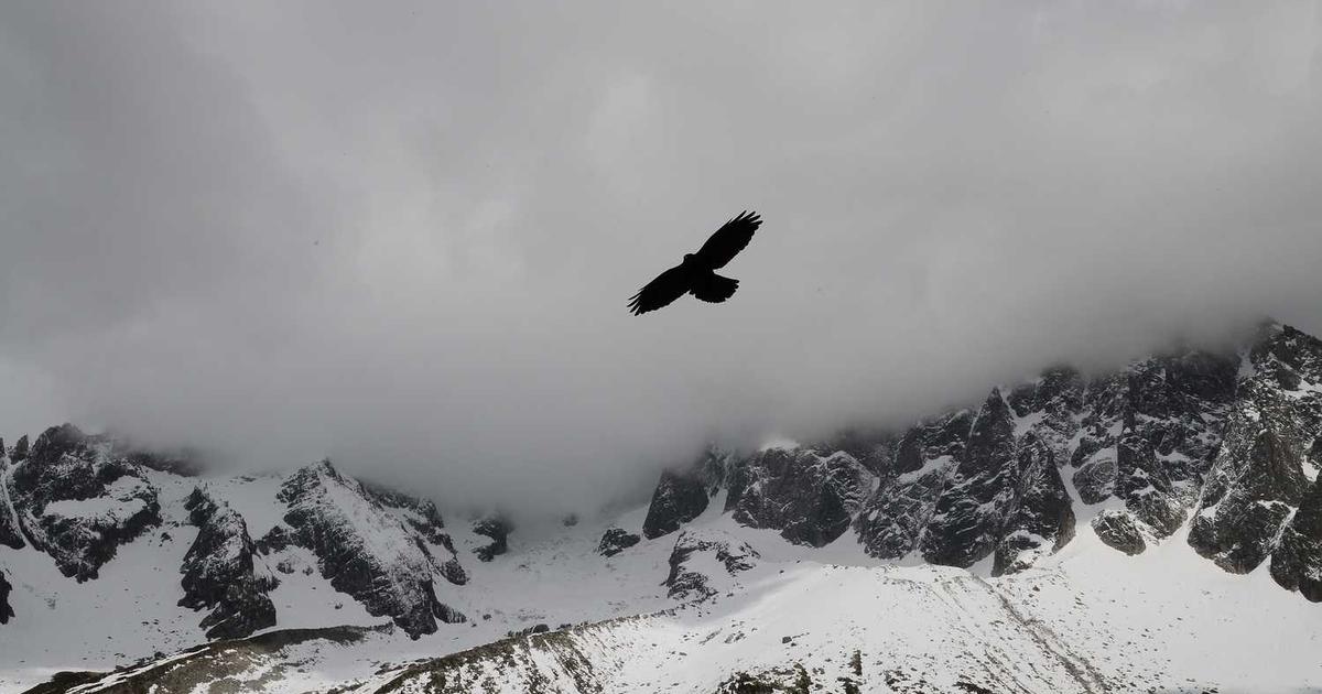 Developer Invoice Guide: Complete Billing System for Software Developers