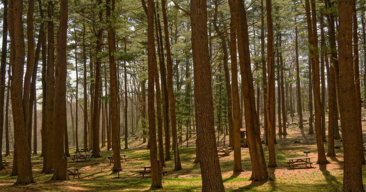 Digital Nomad Invoicing: Multi-Currency, Global Tax, and Remote Payment Solutions