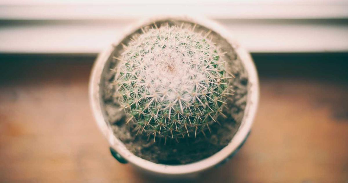 Editable Invoice Template: Complete Guide to Flexible Invoicing