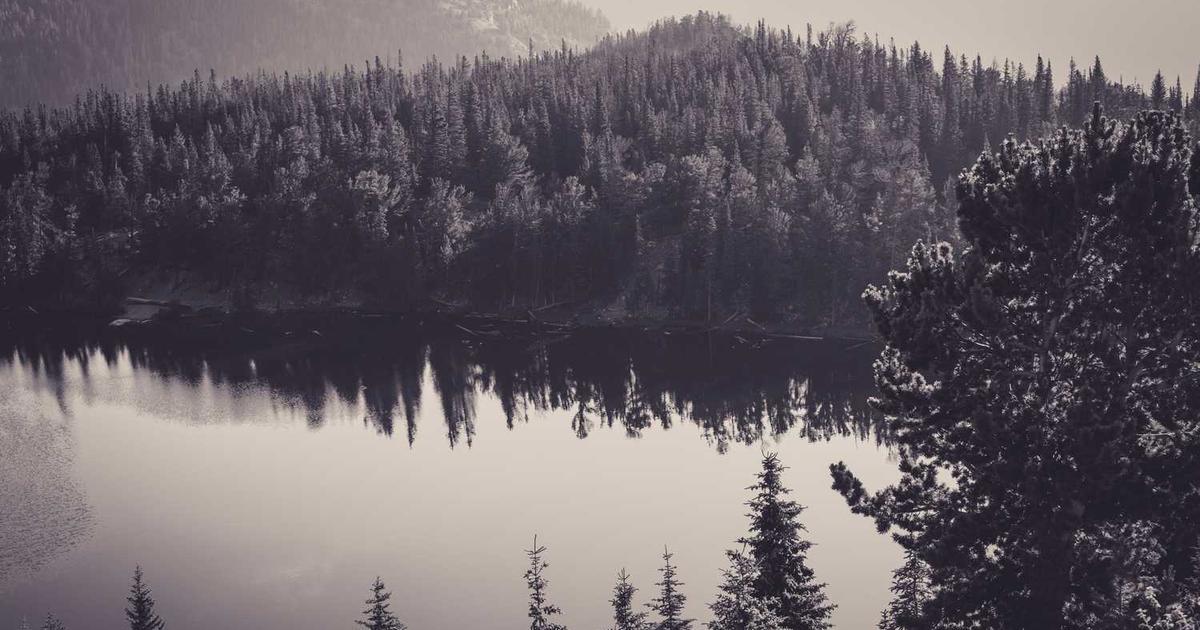 Free Invoicing Software for Freelancers: Best 8 Platforms Compared 2025