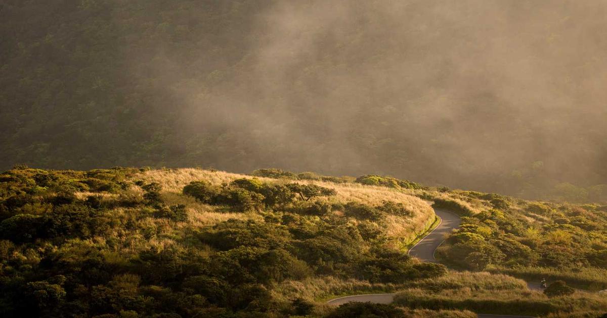 Google Docs Invoice Template: Complete Cloud-Based Invoicing Guide