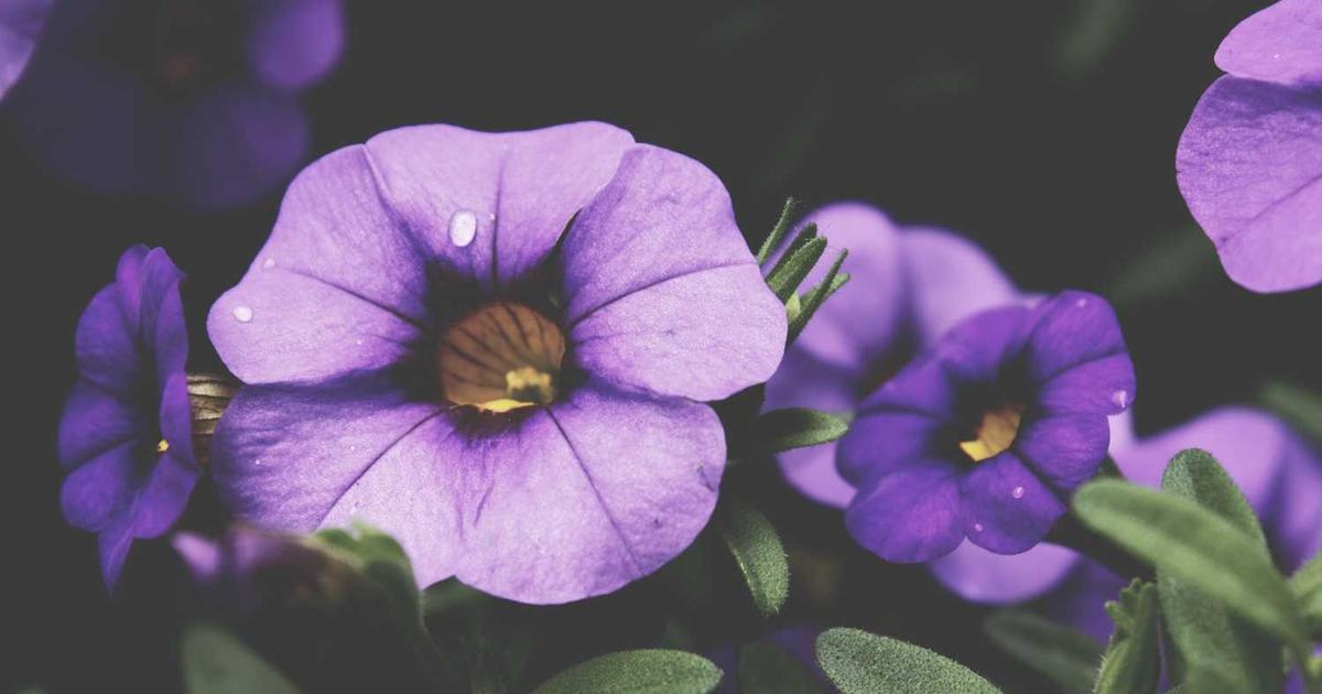 Invoice Software for Graphic Designers: Get Paid Faster in 2025