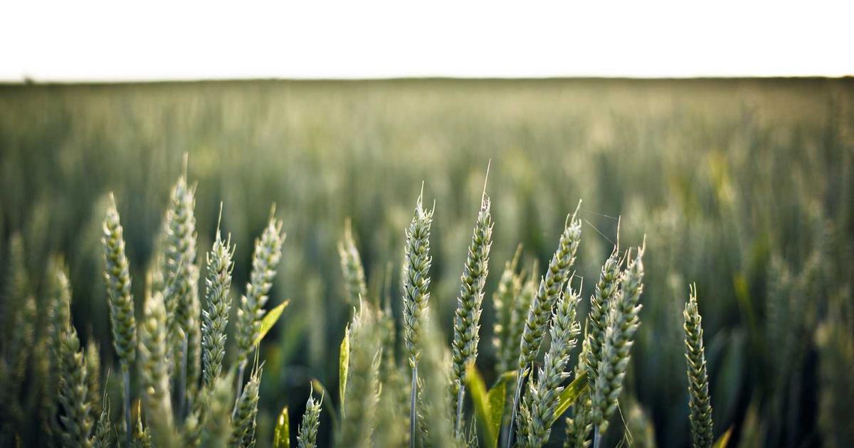 Hourly Rate Invoice Template: Complete Guide to Time-Based Billing