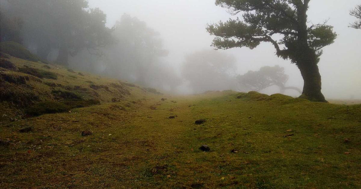 Invoice Payment Terms Guide: How to Set Terms That Get You Paid Faster