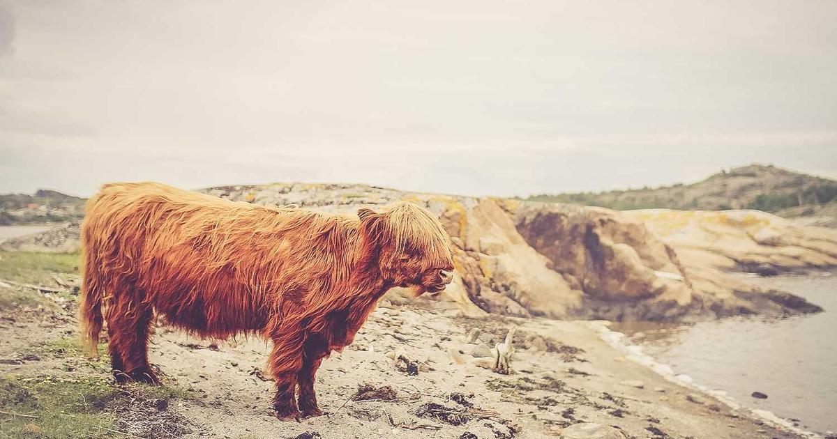 Late Payment Fees: How to Charge and Enforce