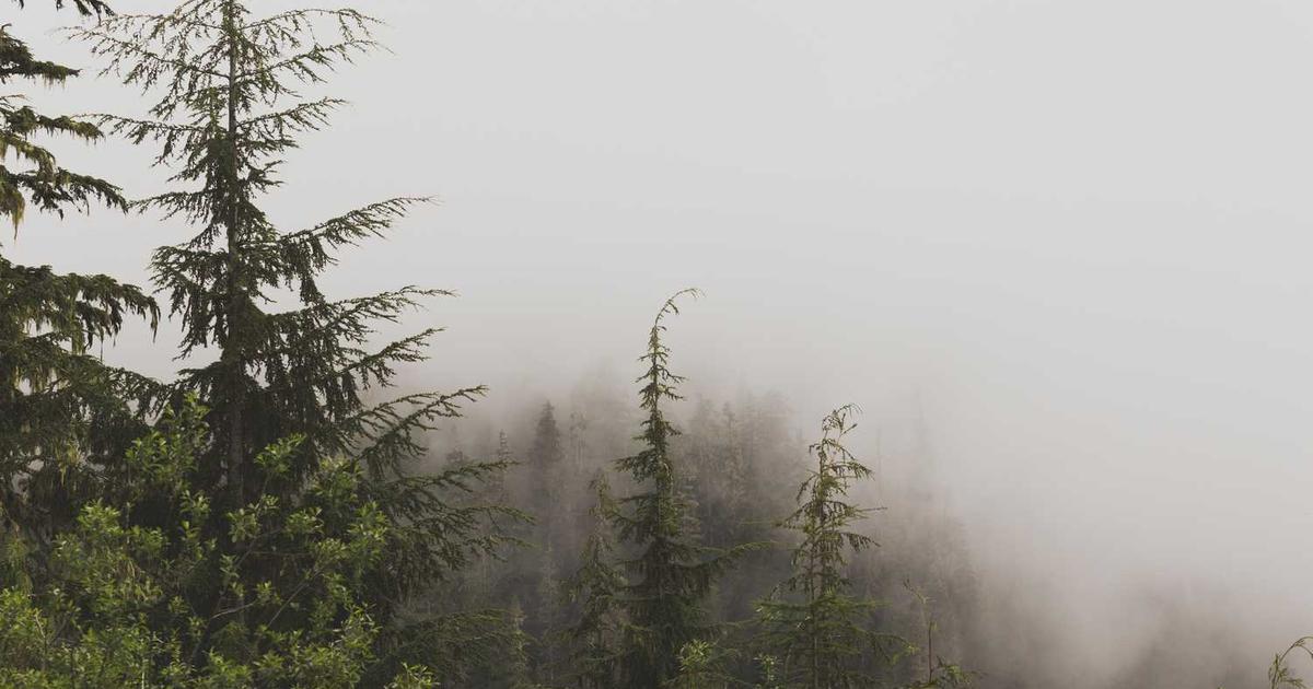 Recurring Invoice Automation: Software for Subscription & Retainer Businesses