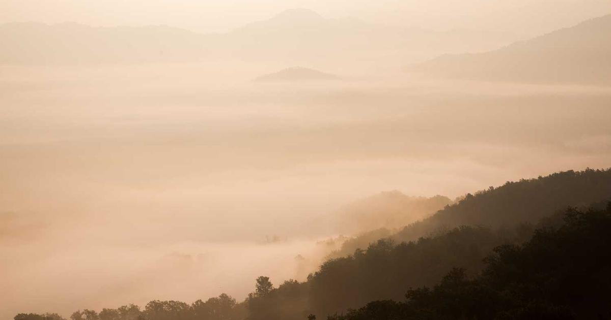 Service Invoice Template: Complete Guide for Service-Based Businesses